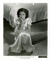 6c132 BLUE BIRD 8x10 still '40 cool image of pensive-looking Shirley Temple!