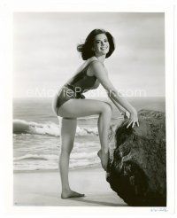 6c557 NATALIE WOOD 8x10 still '61 in sexy bathing suit about to make Splendor in the Grass!