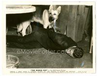 6c643 ROOKIE COP 8x10 still '39 cool image of Ace the Wonder Dog freeing tied-up man!