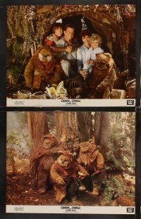6g104 CARAVAN OF COURAGE 8 color 11x14 stills '84 Eric Walker, An Ewok Adventure, Star Wars!