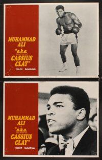 6g030 A.K.A. CASSIUS CLAY 8 LCs '70 great images of heavyweight champion boxer Muhammad Ali!
