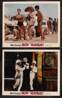 6g087 BON VOYAGE 8 LCs '62 Walt Disney, Fred MacMurray, Jane Wyman, great wacky images!
