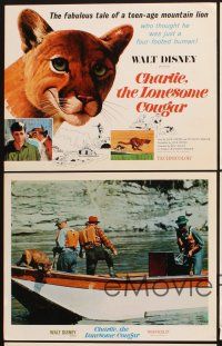 6g645 CHARLIE THE LONESOME COUGAR 5 LCs '67 Walt Disney, smiling teen-age mountain lion!