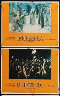 6g244 IPHIGENIA 8 LCs '78 Michael Cacoyannis' Ifigeneia, based on the tragedy by Euripides, Greek!