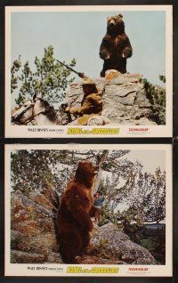 6g531 KING OF THE GRIZZLIES 7 LCs '70 Walt Disney, half a ton of giant fury, ruler of the Rockies!