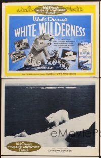 6g693 WHITE WILDERNESS 5 LCs R64 Disney, polar bears & arctic animals on top of world!