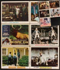 6h021 LOT OF 11 DISNEY SCENE LOBBY CARDS '42 - '81 Great Muppet Caper, True Life Adventures & more!