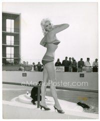 6r340 JAYNE MANSFIELD 8x10 still '50s sexy full-length image in heels & bikini with seals!