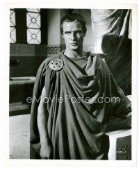 6r370 JULIUS CAESAR 8x10 still '53 best portrait of Marlon Brando as Mark Antony!