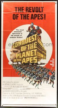 6w074 CONQUEST OF THE PLANET OF THE APES 3sh '72 Roddy McDowall, the revolt of the apes!
