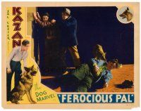 6x338 FEROCIOUS PAL LC '34 great image of Kazan the Wonder Dog grabbing bad guy on ground!