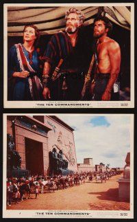 6z997 TEN COMMANDMENTS 2 color 8x10 stills '56 DeMille classic with Charlton Heston & Yul Brynner
