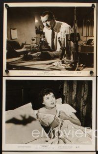 6z390 BAT 5 8x10 stills '59 Vincent Price, Agnes Moorehead, great horror images!