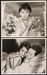 6z194 KEY 10 8x10 stills '58 Carol Reed, William Holden & sexy Sophia Loren!