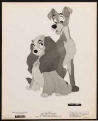 6z234 LADY & THE TRAMP 9 8x10 stills R62 Walt Disney romantic canine dog classic cartoon!