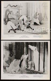 6z514 LADY & THE TRAMP 3 8x10 stills R86 Walt Disney romantic canine dog classic cartoon!