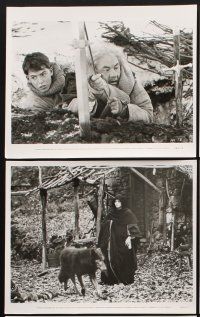 6z353 LADYHAWKE 6 8x10 stills '85 Michelle Pfeiffer, young Matthew Broderick, Rutger Hauer
