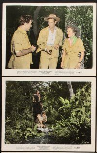 6z615 ESCAPE TO BURMA 10 color 8x10 stills '55 Robert Ryan & Barbara Stanwyck in the jungle!