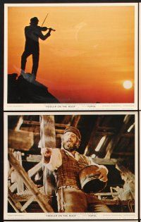 6z745 FIDDLER ON THE ROOF 8 color English FOH LCs '71 great images of Topol as Tevye!