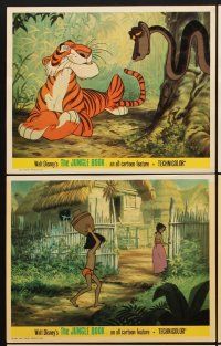 6z824 JUNGLE BOOK 8 color English FOH LCs '67 Disney cartoon classic,great image of Mowgli & friends
