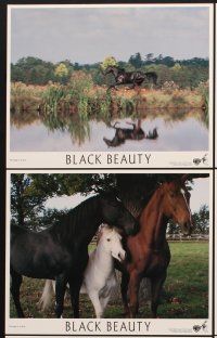 6z650 BLACK BEAUTY 8 8x10 mini LCs '94 Sean Bean, Anna Sewell story of a girl & her beloved horse!