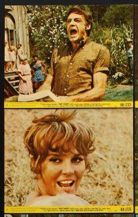 6z756 FINIAN'S RAINBOW 8 8x10 mini LCs '68 great images of Fred Astaire & pretty Petula Clark!