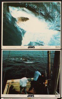 6z927 JAWS 6 8x10 mini LCs '75 Spielberg classic man-eating shark, Roy Scheider, Lorraine Gary