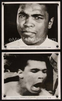 7f787 A.K.A. CASSIUS CLAY 2 8x10 stills '70 portraits of heavyweight champion boxer Muhammad Ali!