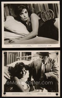 7f818 CAPE FEAR 2 8x10 stills '62 two great close images of sexy Barrie Chase, classic film noir!