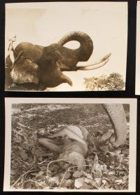7f081 ELEPHANT BOY 7 8x10 stills R47 Sabu in Rudyard Kipling's jungle story!