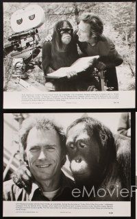 7f397 EVERY WHICH WAY BUT LOOSE 5 7.75x9.75 stills '78 Clint Eastwood & Clyde the orangutan!