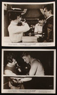 7f173 FIGHTER 6 8x10 stills '52 Richard Conte in ring, from a story by Jack London, boxing!