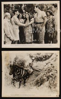 7f609 FURY OF THE CONGO 3 8x10 stills '51 Johnny Weissmuller as Jungle Jim!