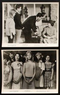 7f225 LOVE & KISSES 6 8x10 stills '65 Ricky Nelson Madelyn Himes, Sheilah Wells, Rick & roll!