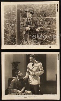 7f669 MAN HUNT 3 8x10 stills '41 Walter Pidgeon, George Sanders, directed by Fritz Lang!