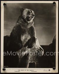 7f926 NIGHT OF THE GRIZZLY 2 8x10 stills '66 big Clint Walker & cool image of bear!