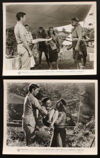 7f263 RAMPAGE 6 8x10 stills '63 Robert Mitchum & Elsa Martinelli in the African jungle!