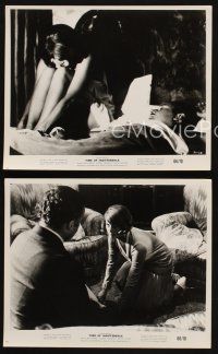 7f755 TIME OF INDIFFERENCE 3 8x10 stills '66 Claudia Cardinale, Rod Steiger!