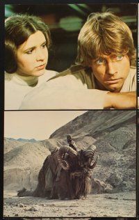 7f050 STAR WARS 8 deluxe 8x10 mini LCs '77 Luke, Leia, Han, Obi-Wan, Chewbacca, George Lucas classic