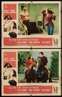 7h972 ALL THE FINE YOUNG CANNIBALS 4 LCs '60 Robert Wagner about to get smacked by Natalie Wood!