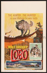 7m237 LEGEND OF LOBO WC '63 Walt Disney, King of the Wolfpack, cool artwork of wolf being hunted!