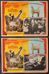 7m533 DOCTOR DOLITTLE 7 Mexican LCs '67 Rex Harrison speaks with animals, Richard Fleischer!