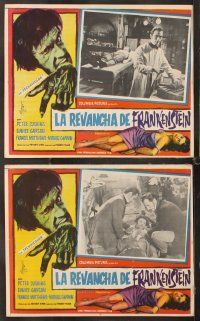7m527 REVENGE OF FRANKENSTEIN 8 Mexican LCs '58 Peter Cushing, monster border art!