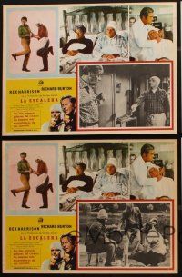 7m557 STAIRCASE 5 Mexican LCs '69 Stanley Donen, Rex Harrison & Richard Burton in a sad gay story!