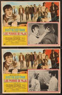 7m529 STRAW DOGS 8 Mexican LCs '72 Dustin Hoffman & Susan George, directed by Sam Peckinpah!