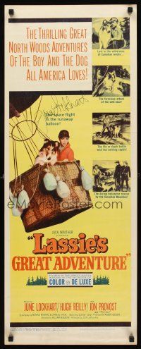 7t059 LASSIE'S GREAT ADVENTURE signed insert '63 by June Lockhart, most classic Collie dog!