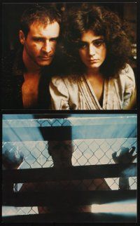 7x535 BLADE RUNNER 7 color 8x10 stills '82 Sean Young + Harrison Ford with Daryl Hannah!