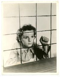 8g121 KIDNAPPED deluxe 11x14.25 still '38 close portrait of Freddie Bartholomew knocking at window!