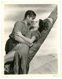 8j876 STRANGE CARGO 8x10 still '40 best romantic close up of Clark Gable & Joan Crawford by tree!