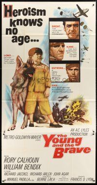 9f810 YOUNG & THE BRAVE 3sh '63 Rory Calhoun, William Bendix, art of heroic boy & German Shepherd!